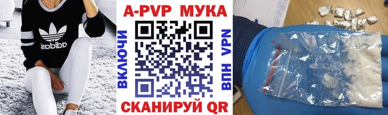 A PVP СК  Петропавловск-Камчатский 