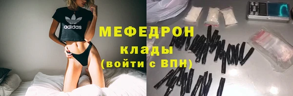 стафф Арсеньев