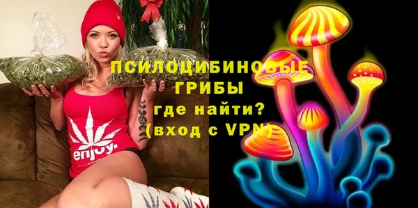 прущие грибы Алексеевка