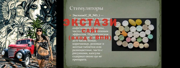 стафф Арсеньев