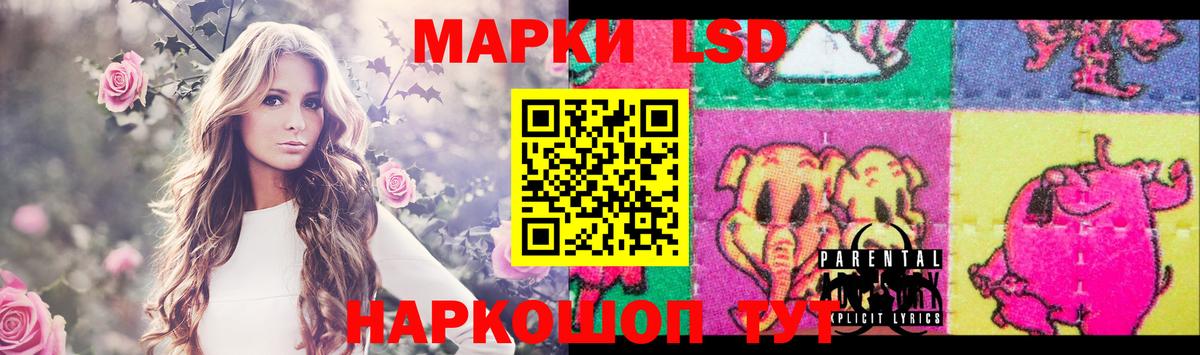 Петропавловск-Камчатский  ЛСД экстази кислота  LSD-25 экстази кислота  ОМГ ОМГ маркетплейс  Вход с VPN 