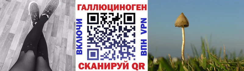 Галлюциногенные грибы MAGIC MUSHROOMS  блэк спрут онион  Петропавловск-Камчатский 