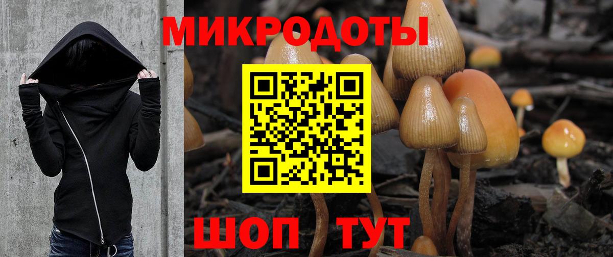 Псилоцибиновые грибы мухоморы Петропавловск-Камчатский